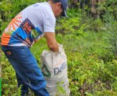 A Secretaria de Meio Ambiente reforça o pedido de cuidado e conscientização da população.