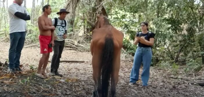 Secretaria Municipal de Saúde atua em atendimento a denúncia de maus-tratos a animais